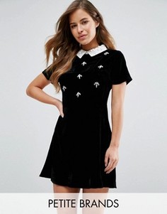 Бархатное платье с воротником и отделкой Miss Selfridge Petite - Черный