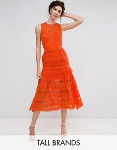 Кружевное приталенное платье миди для выпускного True Decadence Tall - Оранжевый