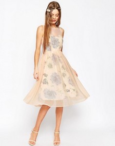 Платье для выпускного с принтом и прозрачным верхним слоем ASOS WEDDING - Розовый
