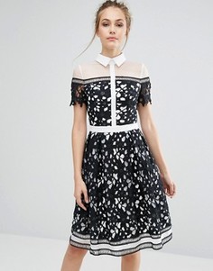 Кружевное премиум-платье со вставками и контрастным воротником Chi Chi London - Черный
