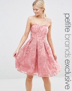 Короткое приталенное платье с вышивкой Chi Chi London Petite - Розовый