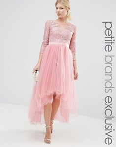 Платье миди для выпускного с тюлевой юбкой и кружевом металлик Chi Chi London Petite - Розовый