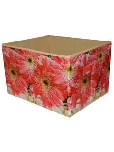 Ящики для хранения Dorothys Нome