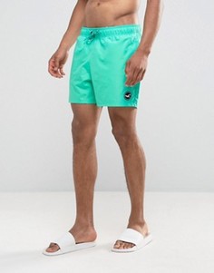 Однотонные шорты для плавания Hollister - Зеленый