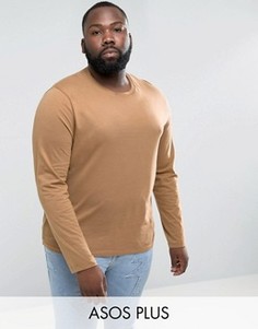 Коричневый лонгслив ASOS PLUS - Бежевый