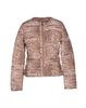 Категория: Пуховики Elisabetta Franchi ICY