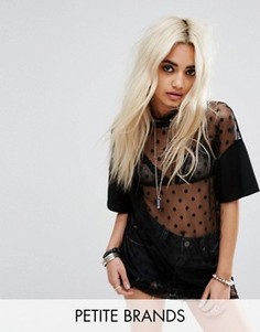 Свободное сетчатое платье-футболка в горошек Missguided Petite - Черный