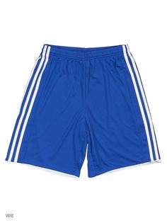 Шорты Adidas