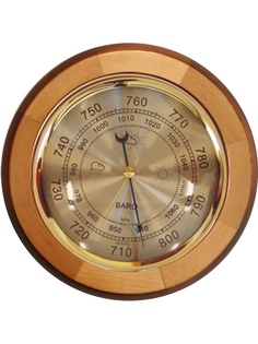 Барометры Михаилъ Москвинъ