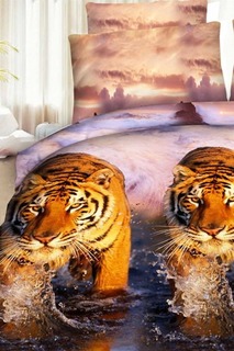 Постельное белье дуэт 70x70 Fantasy