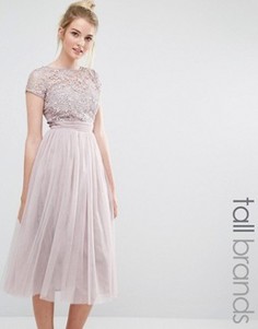 Платье миди с короткими рукавами и кружевным топом Little Mistress Tall - Розовый