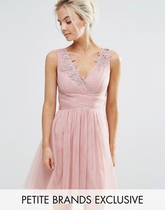 Платье мини из тюля для выпускного с кружевной аппликацией Little Mistress Petite - Розовый