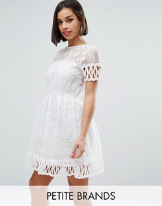 Короткое приталенное платье с вышивкой Boohoo Petite - Белый