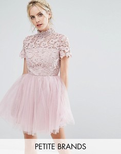 Платье мини с кружевным топом и тюлевой юбкой Chi Chi London Petite - Розовый