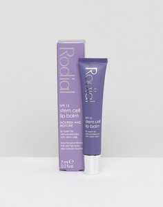 Бальзам для губ со стволовыми клетками Rodial Super-Food Glam SPF15 7 мл - Бесцветный