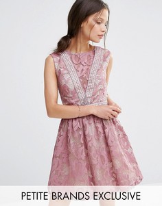 Кружевное приталенное платье без рукавов Little Mistress Petite - Розовый