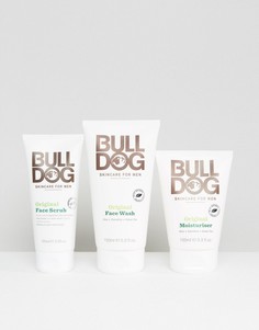 Набор средств по уходу за кожей Bulldog - Скидка 30 - Мульти