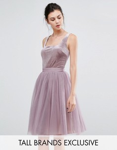 Короткое приталенное платье с бархатным лифом и тюлевой юбкой Little Mistress Tall - Фиолетовый