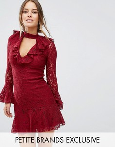 Кружевное короткое приталенное платье с оборкой на кромке John Zack Petite - Красный
