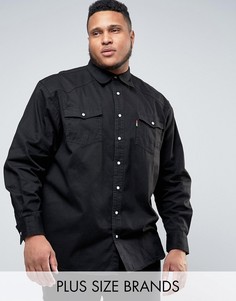 Черная джинсовая рубашка в стиле вестерн Duke PLUS - Черный
