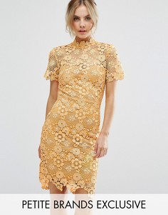 Кружевное платье-футляр премиум-класса Paper Dolls Petite - Желтый