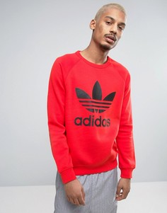 Красный свитшот с круглым вырезом и логотипом-трилистником adidas Originals BK5868 - Красный