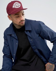 Бейсболка Dickies Oakland - Красный