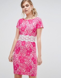 Кружевное платье-футляр с контрастной отделкой Paper Dolls - Розовый