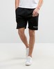 Категория: Шорты Nicce London