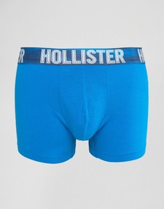 Однотонные боксеры-брифы с логотипом Hollister - Синий