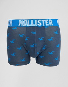 Боксеры-брифы с логотипом Hollister - Темно-синий