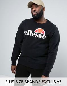 Свитшот с классическим логотипом Ellesse PLUS - Черный