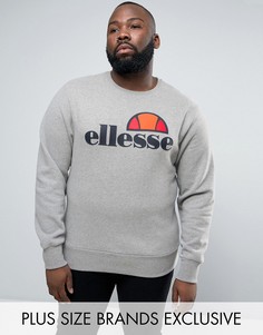 Свитшот с классическим логотипом Ellesse PLUS - Серый