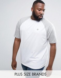 Длинная футболка с рукавами реглан Le Breve - Белый