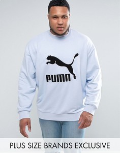 Синий свитшот с логотипом Puma PLUS эксклюзивно для ASOS - Синий