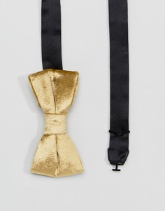 Бархатный галстук-бабочка Noose & Monkey - Золотой