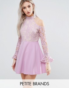 Кружевное короткое приталенное платье с открытыми плечами Missguided Petite - Фиолетовый