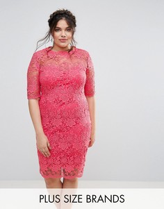Кружевное платье‑футляр Paper Dolls Plus - Розовый