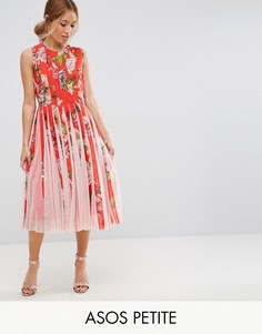 Приталенное платье миди со свободной юбкой и цветочным принтом ASOS PETITE - Мульти