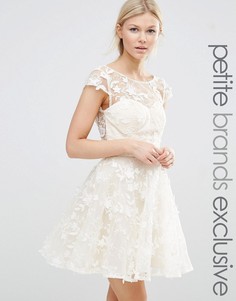 Короткое приталенное платье с 3D‑аппликацией Chi Chi London Petite - Кремовый
