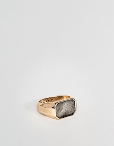 Золотистое кольцо с печаткой и рифленой отделкой Icon Brand - Золотой