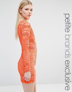Кружевное платье мини с длинными рукавами True Decadence Petite - Оранжевый
