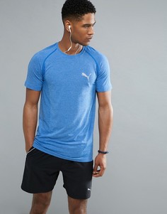 Синяя футболка Puma Running evoKNIT 59063208 - Синий