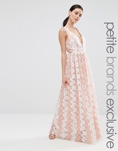 Платье макси с цветочным кружевом True Decadence Petite Premium - Розовый