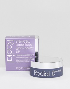 Бальзам для губ со стволовыми клетками Rodial Super-Food Glam 10 г - Бесцветный