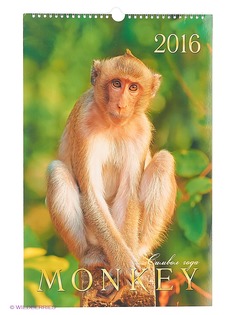 Календари Канц-Эксмо