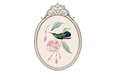 Репродукция гравюры «птица счастья» в раме «офелия» (object desire) мультиколор 29.3x41.5x2 см.