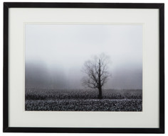 Постер "Fog & Tree"