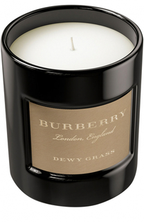 Свеча ароматизированная Dewy Grass Burberry