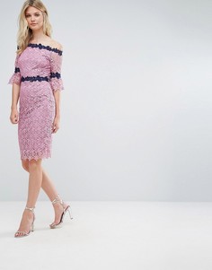Кружевное платье-футляр с контрастной отделкой Paper Dolls Tall - Фиолетовый